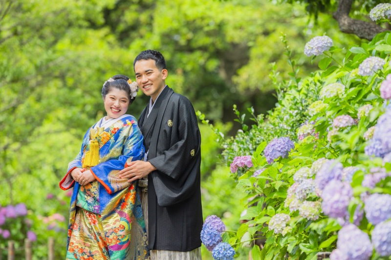 満開の紫陽花も