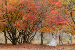 富士ロケーション！富士山と紅葉と