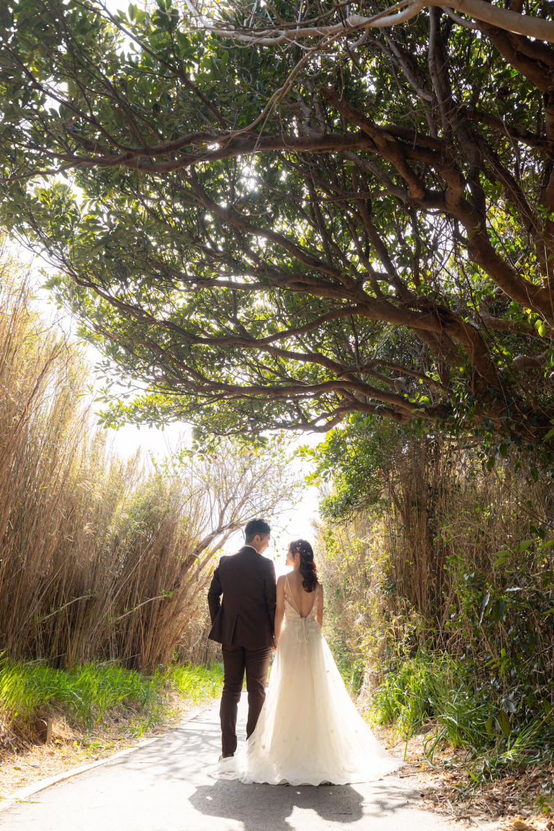 きらきらの木漏れ日