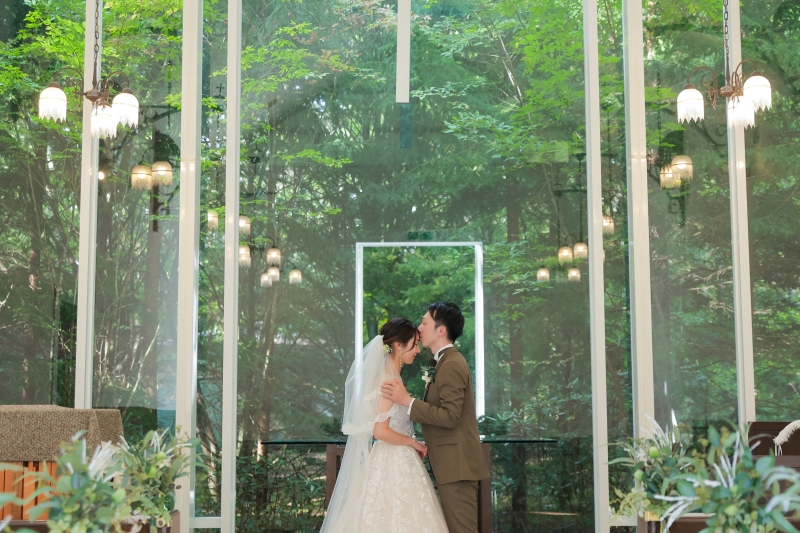 どこまでも続く森と光