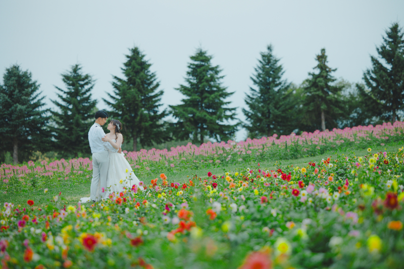 他のお花畑のお写真も！