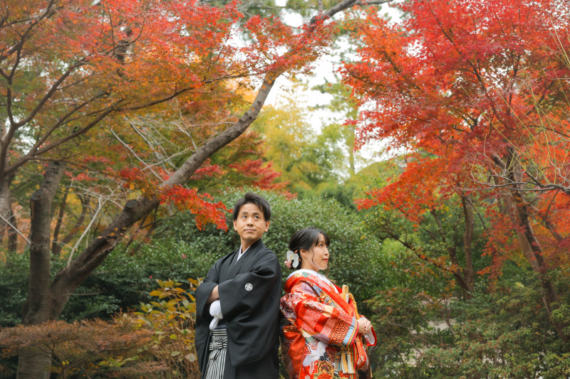 錦秋の日本庭園で紅葉とイチョウに包まれて photo by 谷澤 明美