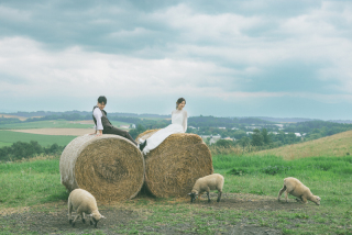 北海道で動物フォト