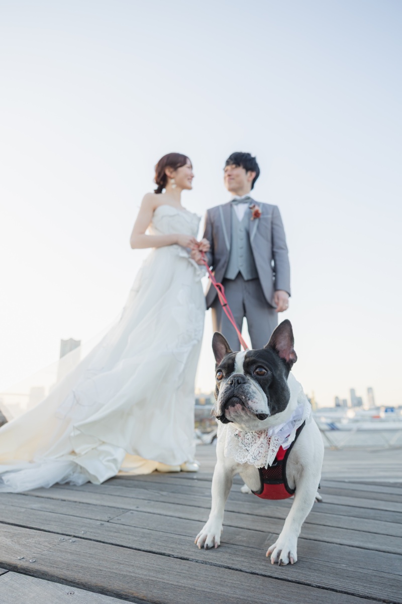 大桟橋ロケーション