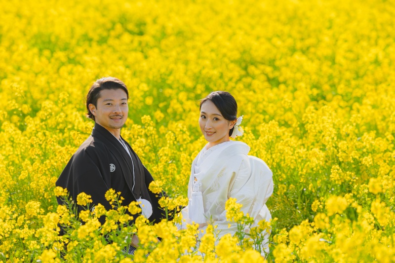 菜の花に埋もれて