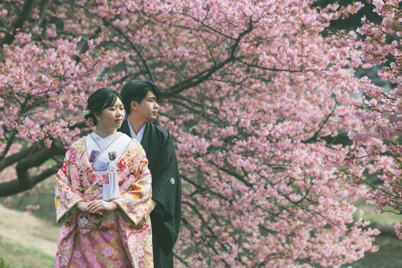 落ち着いた雰囲気で