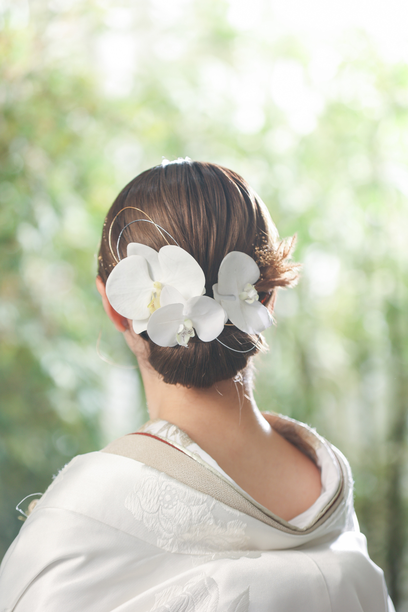 胡蝶蘭&times;水引