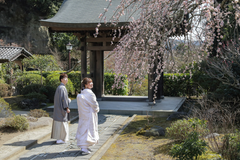 お花見しながら