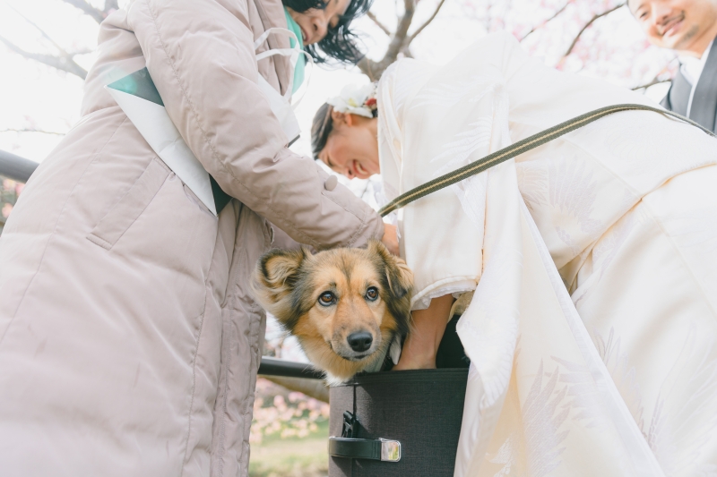 いよいよ、出番です