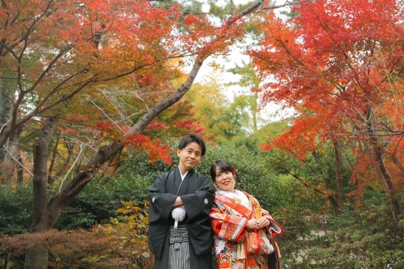美しい紅葉のグラデーション