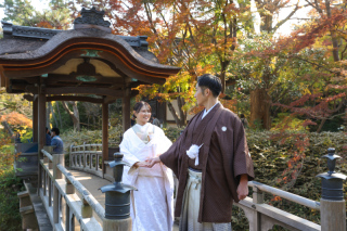 スタジオ マタニティウェディングフォト 画像