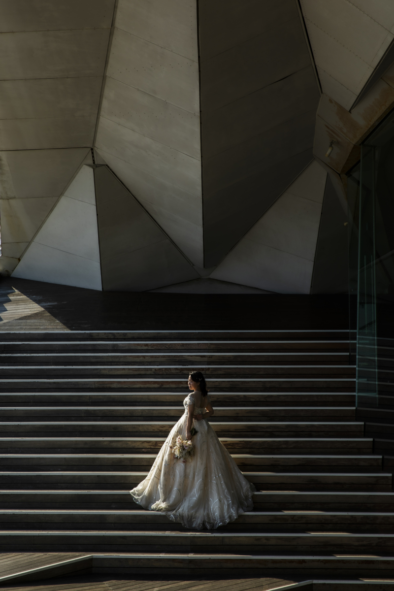 バックショット