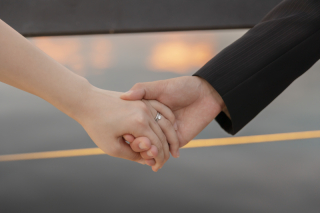 屋内庭園と象の鼻パーク！