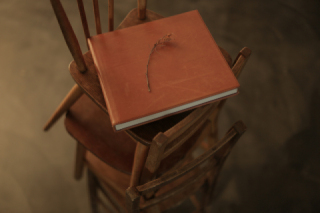 ブッテーロアルバム(30ページ)