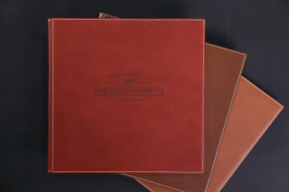 ビゾンテアルバム(30ページ)