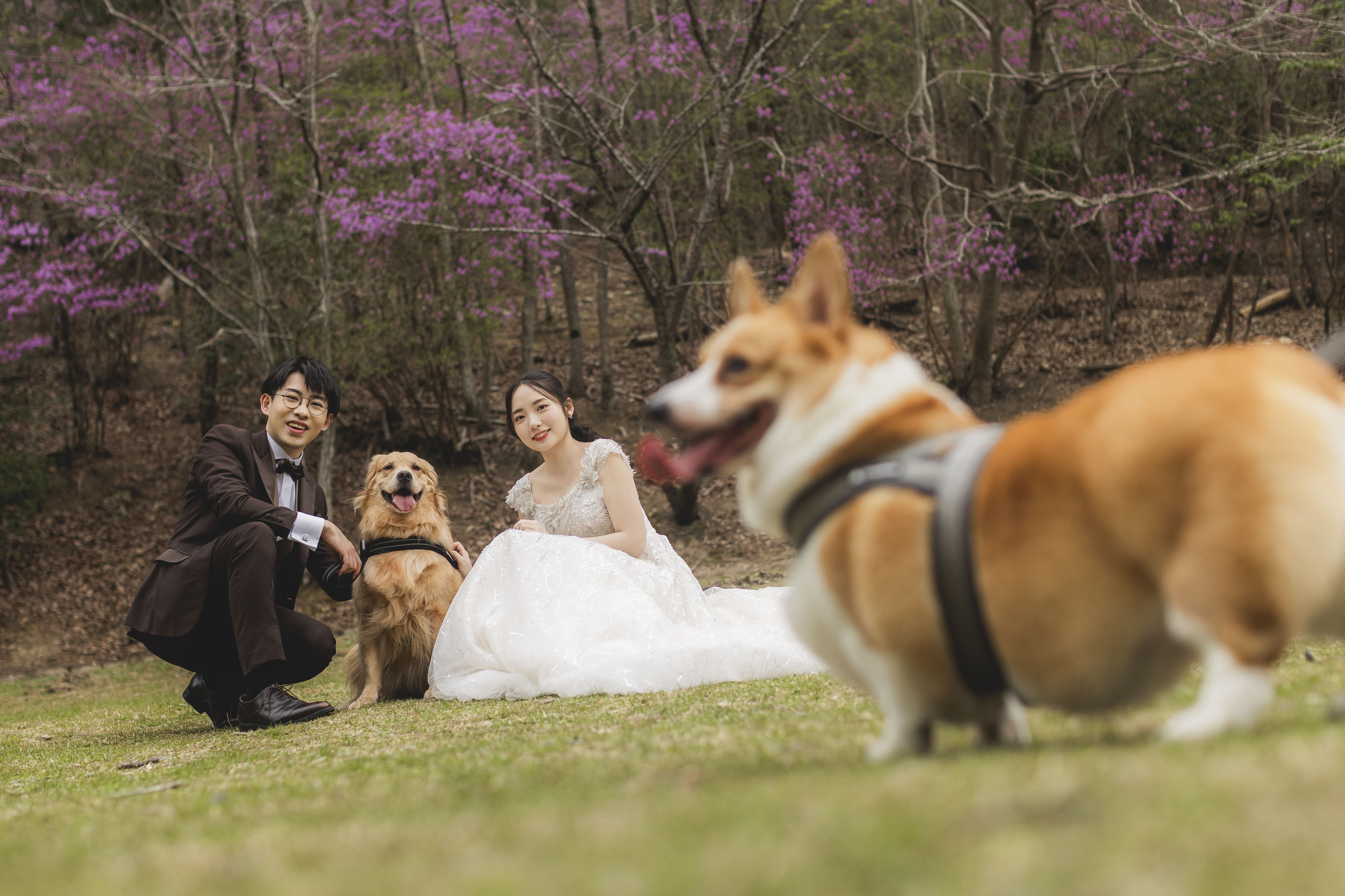 Point1 多彩な撮影シーン