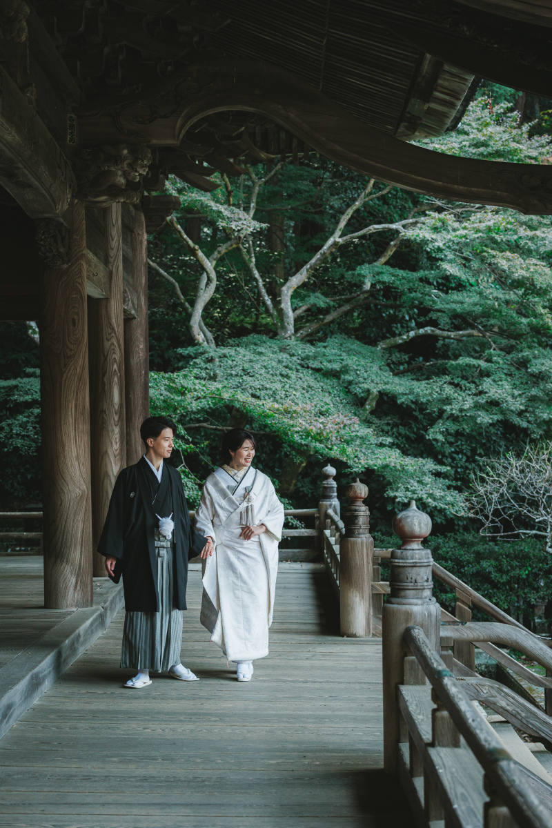 藍郷 心太朗の作品