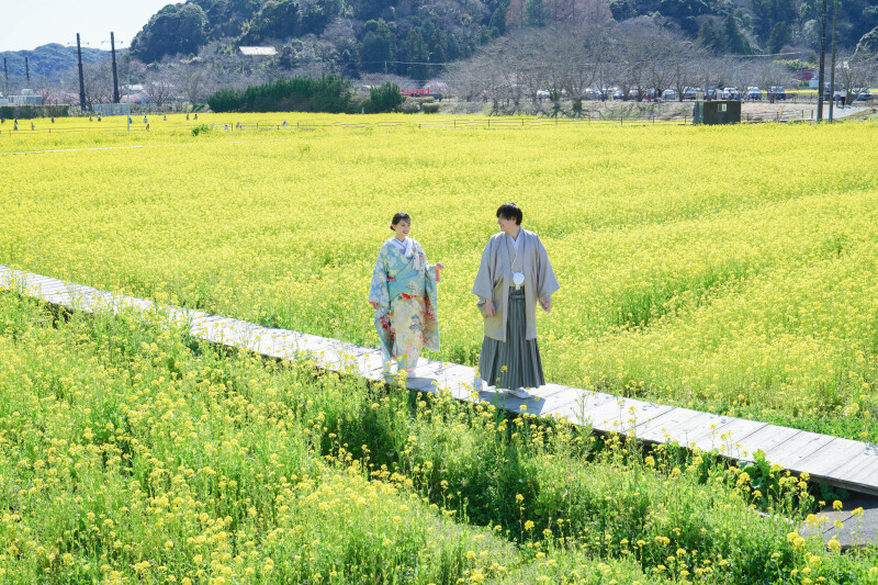【2/5〜3/15期間限定!】伊豆を満喫!♢伊豆河津桜 和装+洋装2箇所ロケーション♢