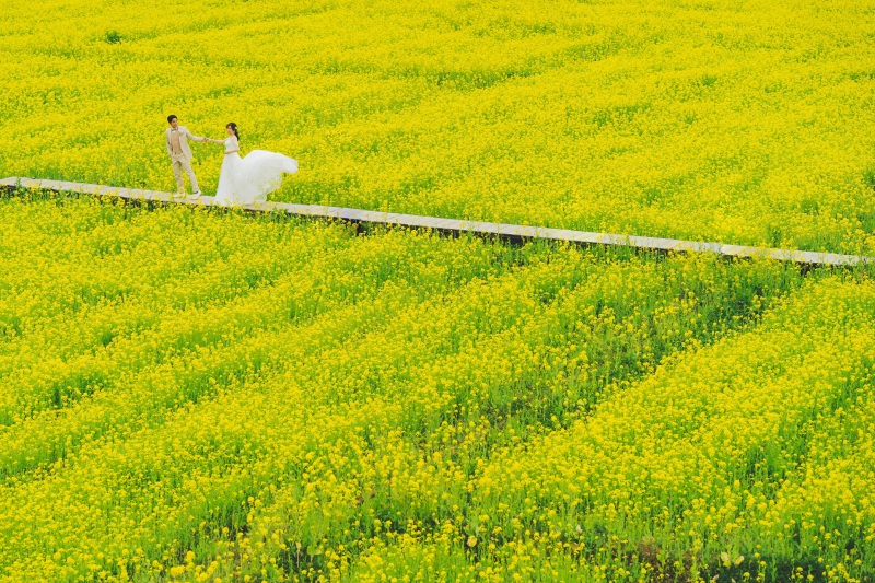 【伊豆・河津桜】先着限定33,000円オフ!!河津桜2箇所洋装ロケーション ◇300カット以上全データ付き