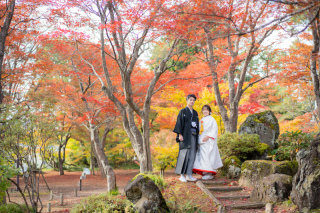 紅葉撮影