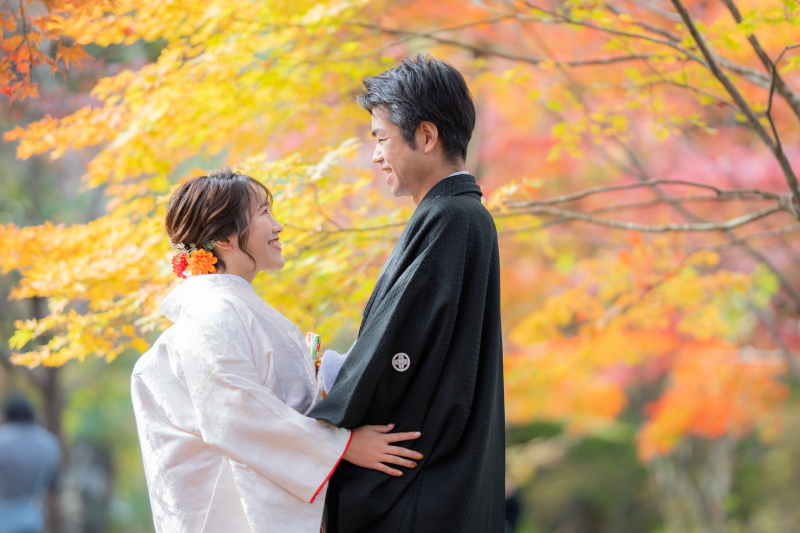 イロトリドリの木々と