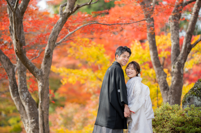 紅葉とイチョウと