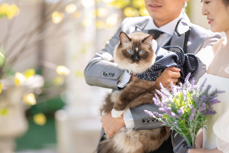 2023.10　ガーデン+ねこちゃんと撮影