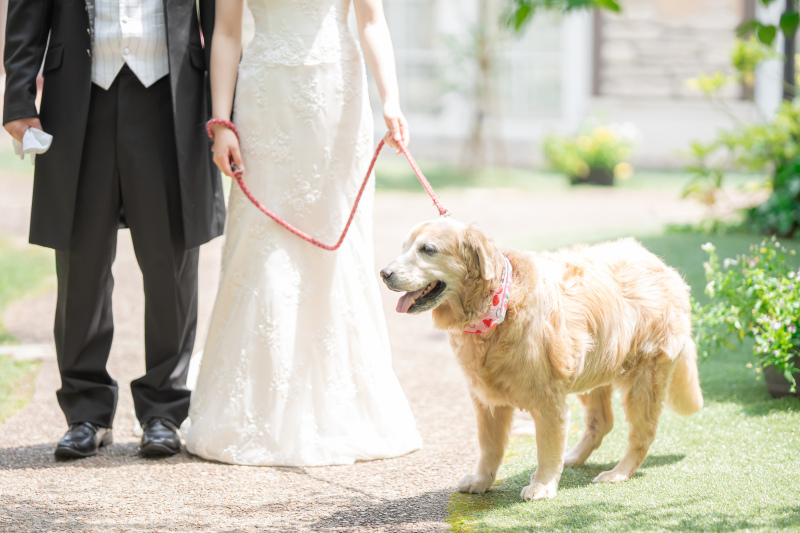 愛する家族との撮影も叶います