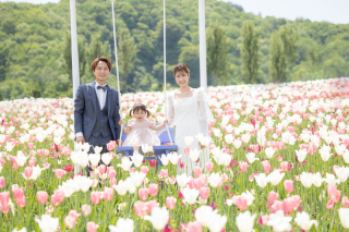 チューリップ撮影《2024.5国営越後丘陵公園》