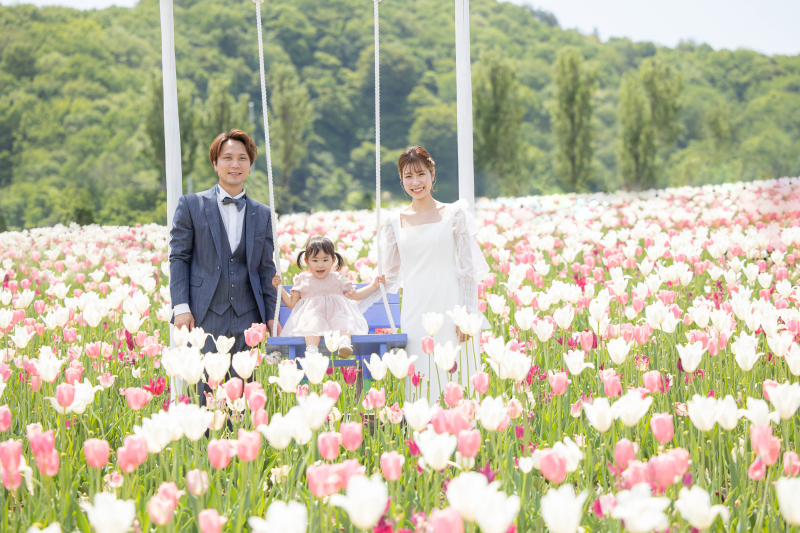 チューリップ撮影《2024.5国営越後丘陵公園》