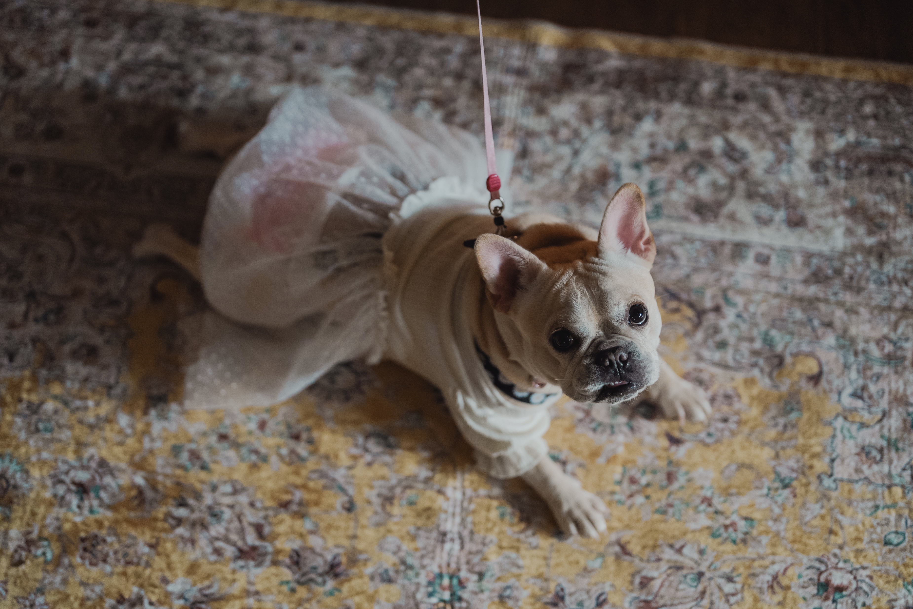 Point1 多彩な撮影シーン