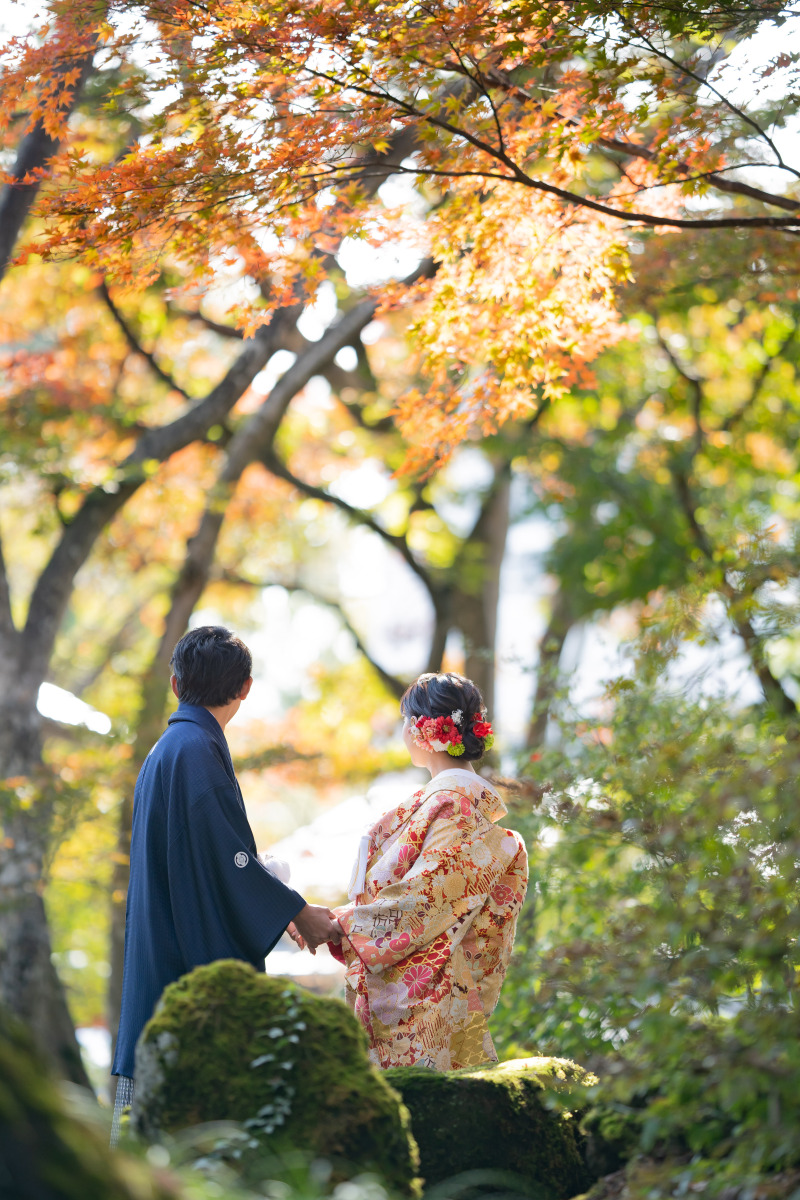 10月末までの撮影【紅葉でロケフォト】新潟県内で撮影可能\衣装&撮影&アルバムデータ&レタッチ&エステ全部込み