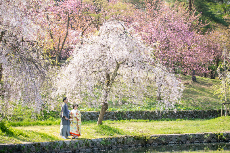 【悠久山の桜フォト】2026年桜プラン|衣装＋着付け＋ヘアセットメイク＋撮影＋データ＋アルバム一冊、全て込み