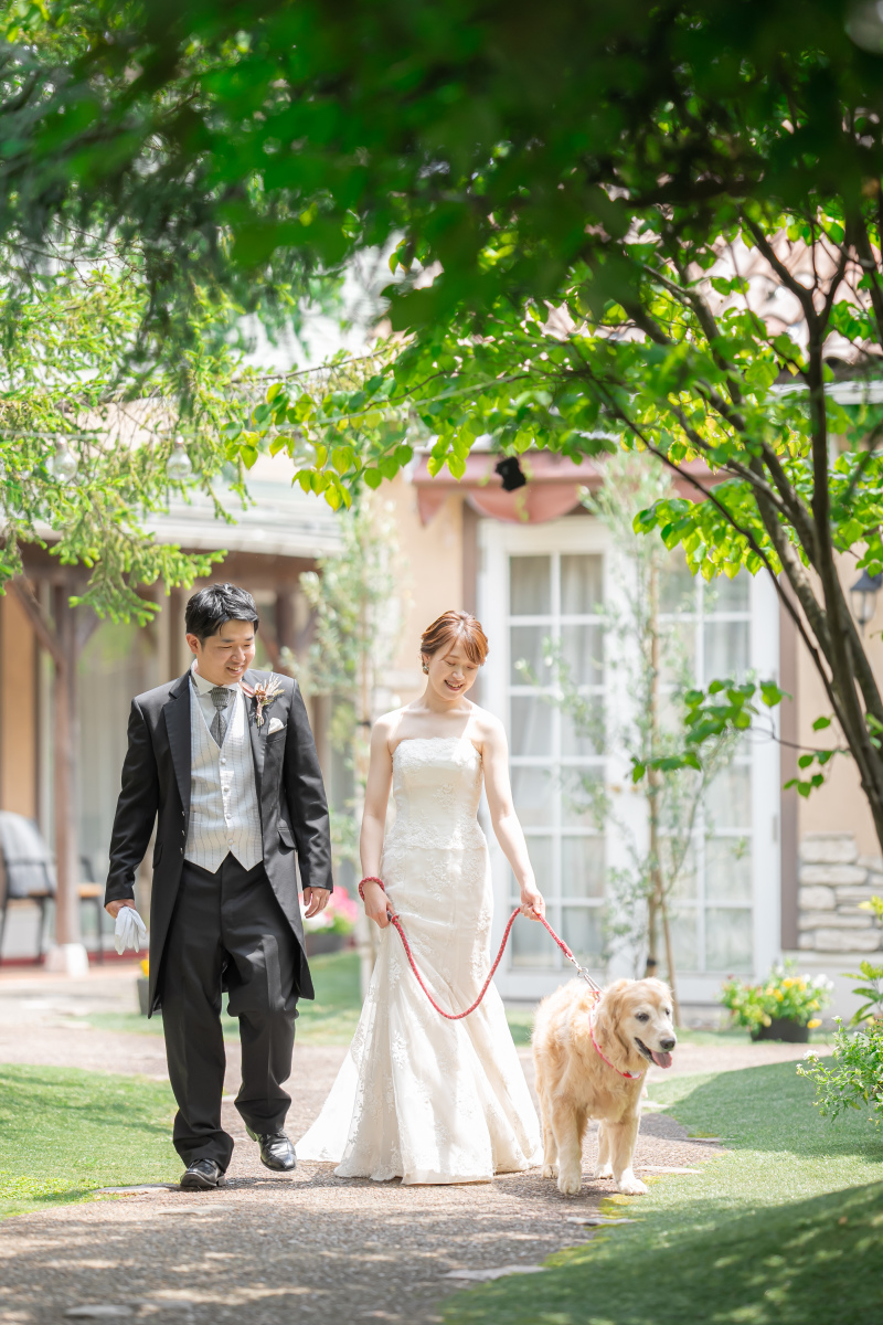 愛するペットと一緒に【11月末まで40,000円OFF】衣装2着×6つ選べる撮影シーン◎わんちゃん、ねこちゃんペット撮影付