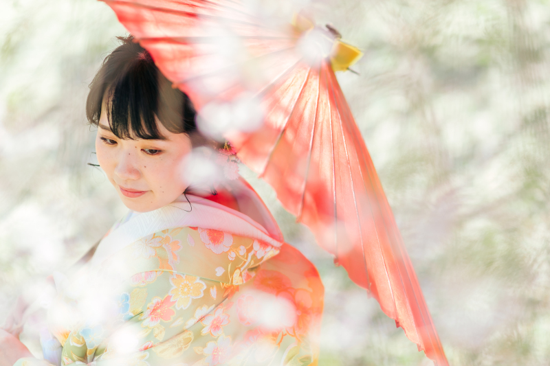 【悠久山の桜フォト】2026年桜プラン|衣装＋着付け＋ヘアセットメイク＋撮影＋データ＋アルバム一冊、全て込み