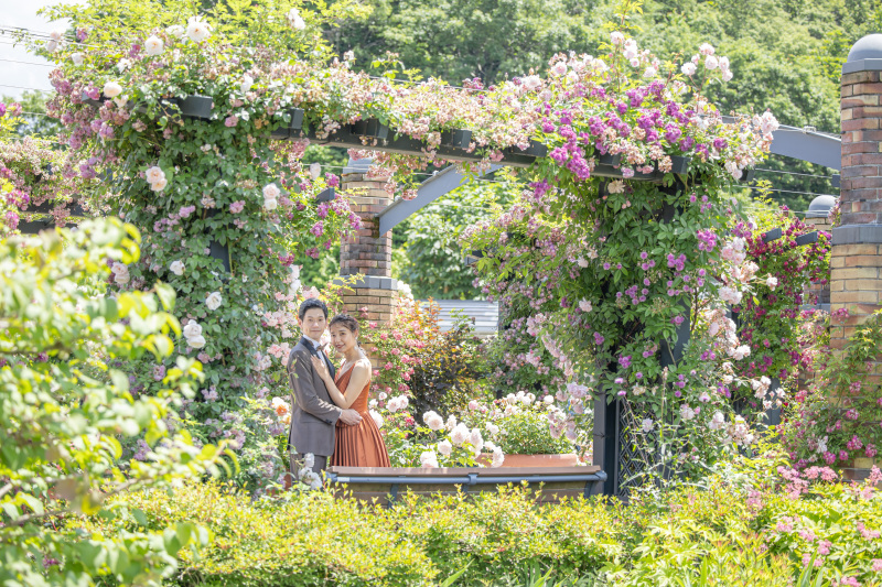 【秋花とロケフォト】ドレス2着◆\丘陵公園や悠久山で撮影可能/衣装+着付け+ヘアメイク+撮影+データ+アルバム一冊