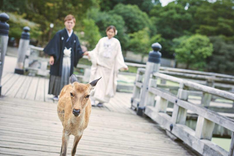 緑いっぱいの奈良公園・浮見堂和装前撮りレポート！