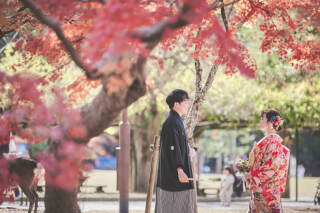 奈良公園の紅葉撮影とスタジオ撮影