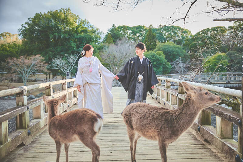 奈良公園で鹿と和装前撮り撮影