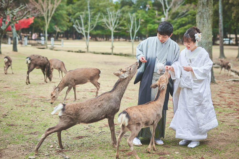 鹿と・・・