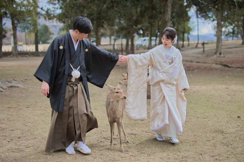 新緑シーズン撮影プラン♪【和装1点ロケーション撮影プラン】全データ300枚以上・レタッチ・撮影に必要なアイテムは全て込み!