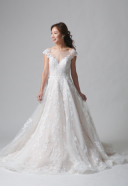 Carino / カリーノ 