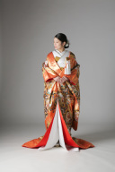 孔雀 丸紋 / IU00946