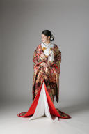 御所解 松 四季花 / IU00920