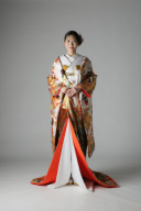 群れ鶴 亀甲 / IU00928