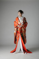 八重重ね 鳳凰 花 / IU00829