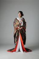 鳳凰 枝垂れ桜 / IU00891