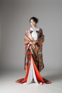 孔雀 四季花 / IU00948