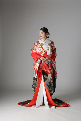 桜 群れ鶴 / IU00896