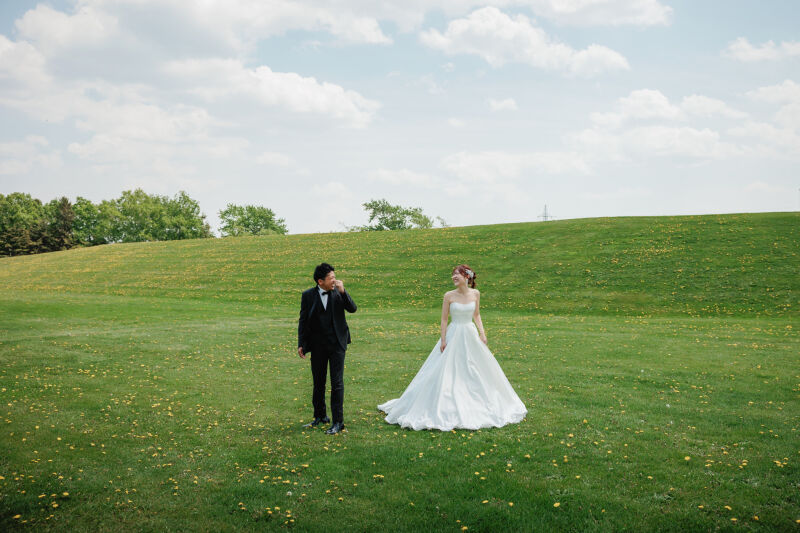 広い空、鮮やかな芝生と